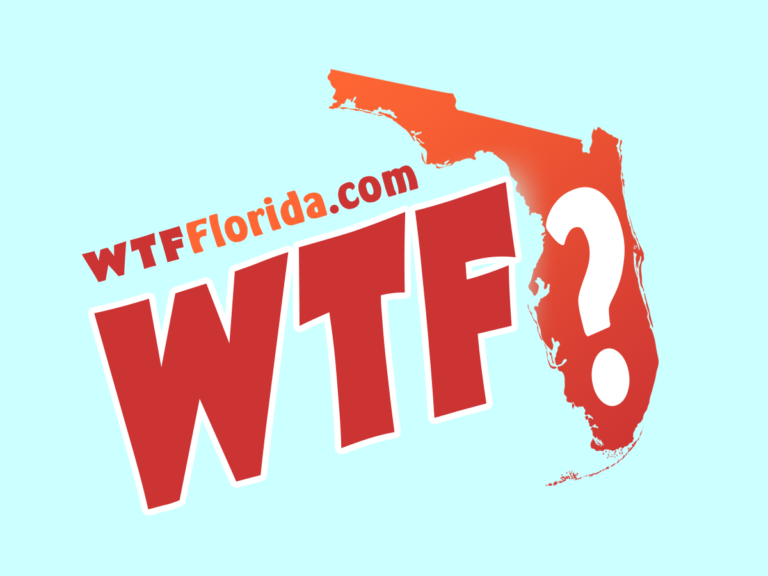 wtf florida logo