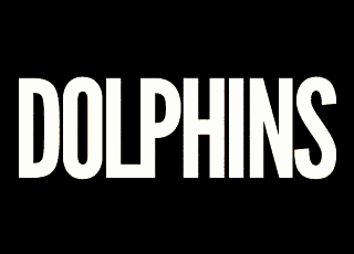 dolphins-rape