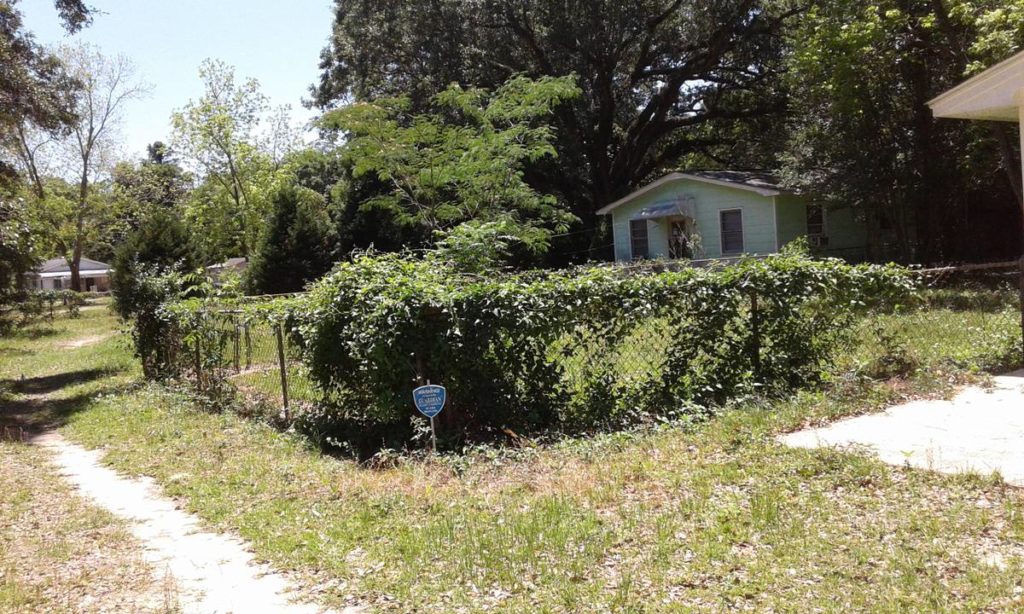 Pensacola Man rents his home for 250 on Craigslist