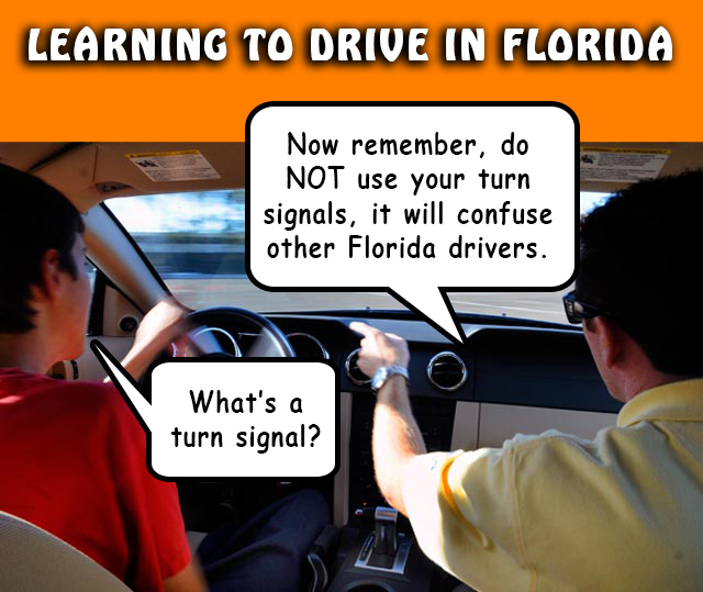 Learning to Drive in Florida