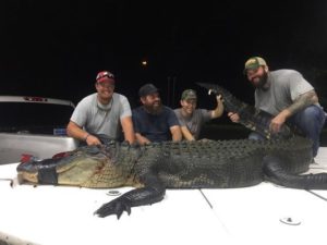 blackwater alligator hunters pound