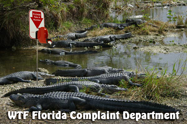 complaint-department alligators