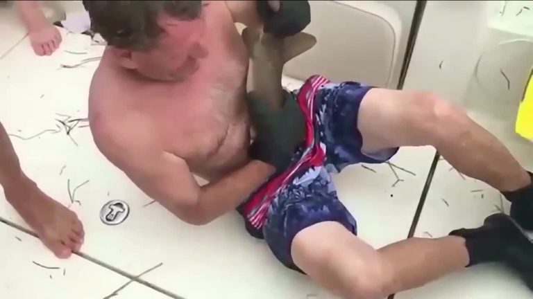 Man bitten by nurse shark