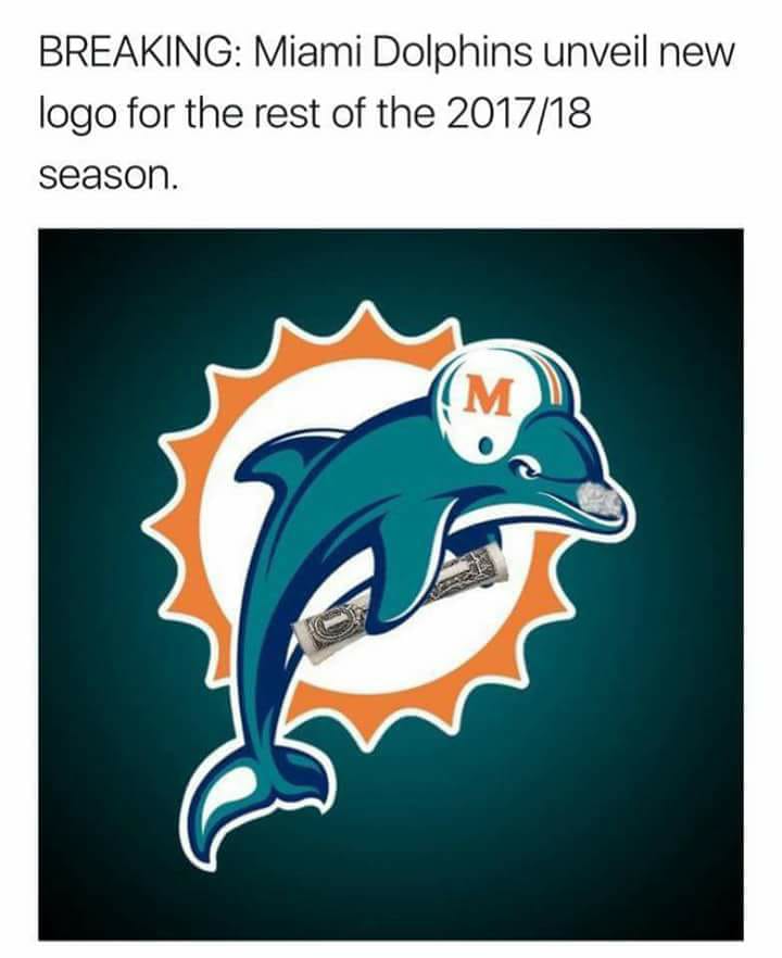 dolphins football