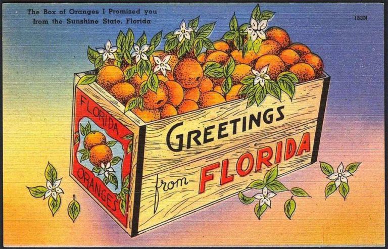 box-of-oranges-postcard