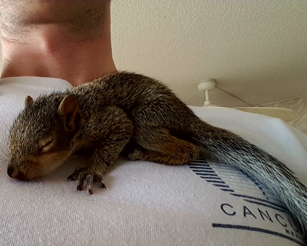 ryan boylan squirrel