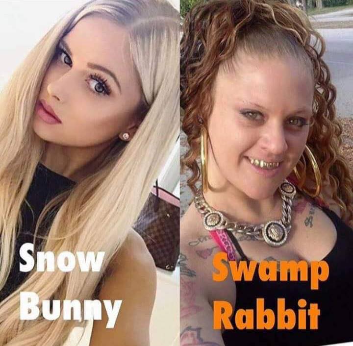 Snow Bunny - Swamp Rabbit.