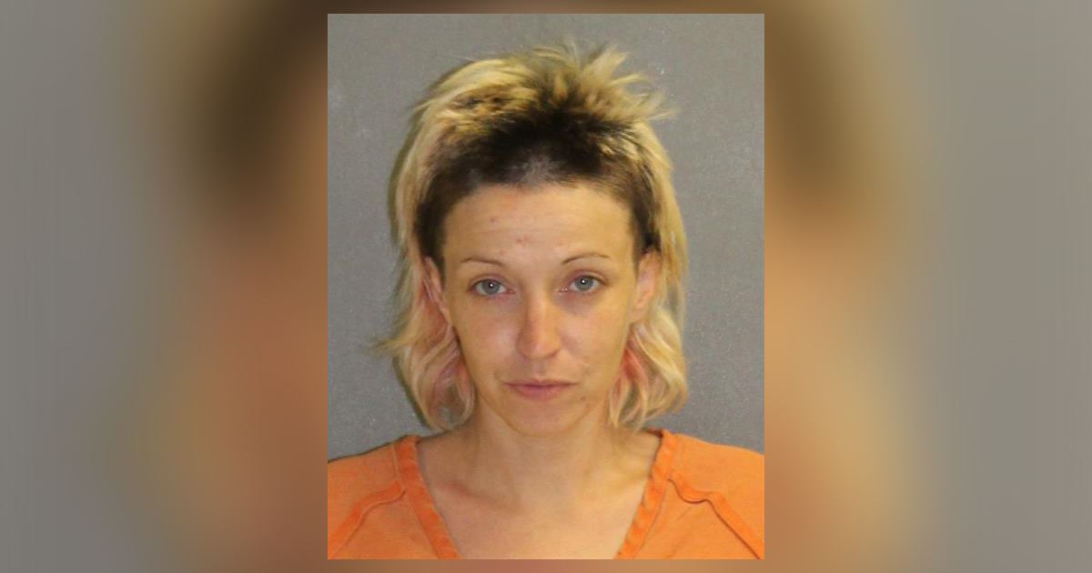 Florida Woman Tries Kidnapping Two Kids at Toronita Avenue Beach Park