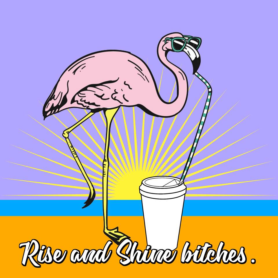 flamingo on beach drinking coffee through straw saying "rise and shine bitches""