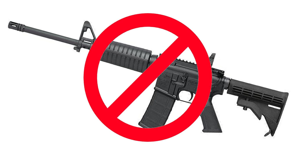 'Ban Assault Weapons Now' Could Put AntiGun Amendment on 2020 Ballot